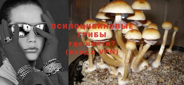 спайс Сатка