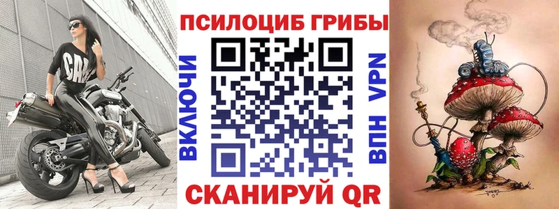 Галлюциногенные грибы Psilocybine cubensis  Костомукша 